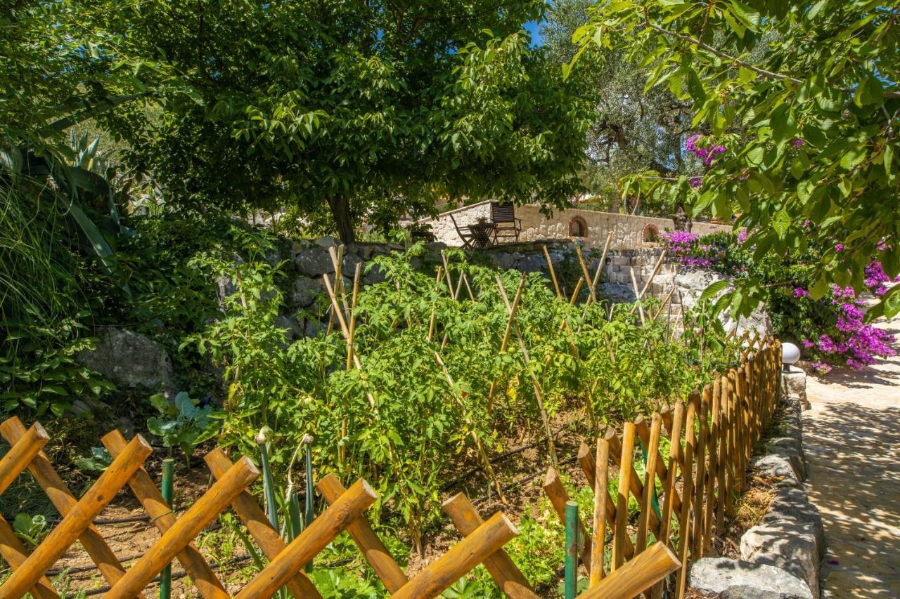 Etno House Wagner Villa โพลเช ภายนอก รูปภาพ